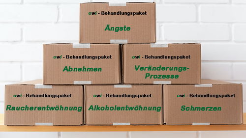 owi - Behandlungspakete:  Abnehmen, Ängste - Phobien, Burnout, Mobbing, Raucherentwöhnung, Stress: Praxis für Veränderungscoaching und Angsttherapie - www.angst-phobie.ch - Winterthur